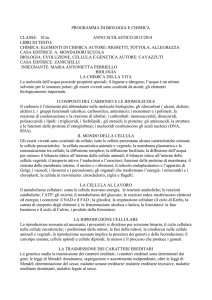 PROGRAMMA DI BIOLOGIA