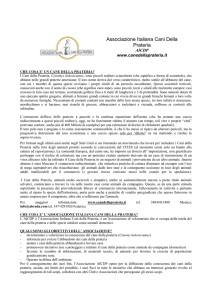 aicdp - Cane della prateria