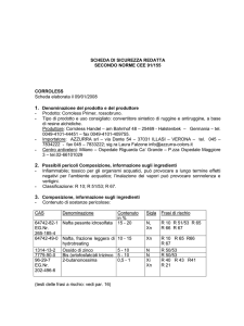 scheda di sicurezza redatta