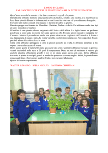 orto in classe - Primo Circolo Eboli