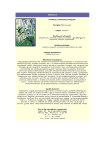 Frangula - Farmacia S. Antonio – Brescia