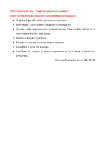 Come si pianta un albero? - ISTITUTO COMPRENSIVO DI