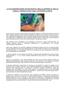 la scleromousse ecoguidata della safena e delle varici