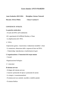 PROGRAMMA A - Liceo Anco Marzio