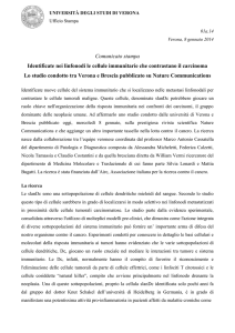 Università degli Studi di Verona