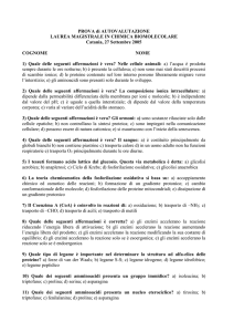 COMPONIMENTO BREVE (MAX 10 righe per quesito)