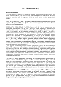 Pera Limone (varietà) Relazione tecnica CENNI STORICI ED