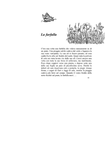 I segreti della noce