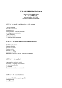 PROGRAMMA - ITIS Cannizzaro Colleferro
