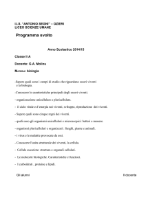 2A - A.SEGNI