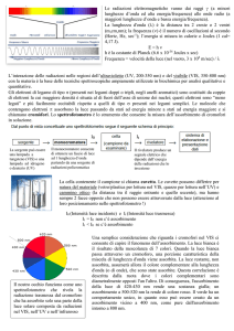 L`interazione delle radiazioni nelle regioni dell`ultravioletto (UV, 200
