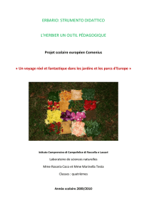 ERBARIO: STRUMENTO DIDATTICO L`HERBIER UN OUTIL