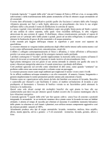 Scarica la presentazione