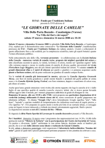 camelia: scheda botanica