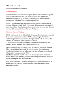 RICCARDO ALFANO Sintesi documento scienza attiva Sistema