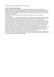 Herpes: siamo quasi tutti contagiati