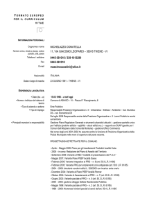 Curriculum vitae dirigente settore tecnico