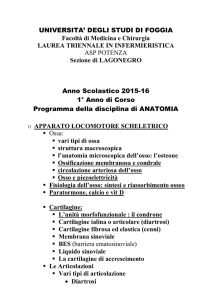 Pro - Facoltà di Medicina e Chirurgia