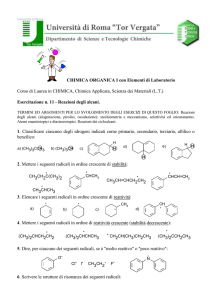 Esercitazione 11 - Macroarea di Scienze