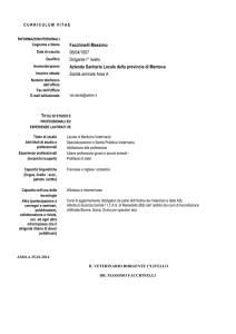 CV Sindaco Facchinelli