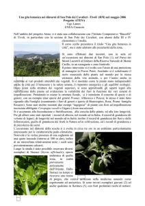 Cliccare qui per scaricare l`intera relazione