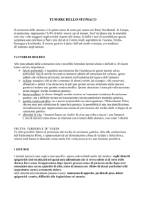 16_Il_tumore_dello_stomaco