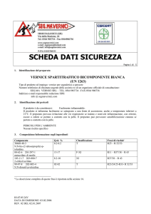scheda sicurezza