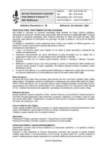 trattamenti di fine stagione