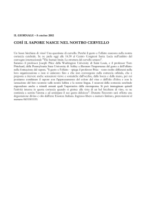 IL GIORNALE – 8 ottobre 2002 Così il sapore nasce nel nostro