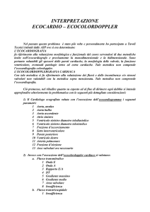 interpretazione - Medici Convenzionati