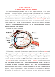 il sistema visivo - Fiani