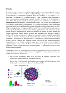 Dispense Chimica degli Alimenti Latte - Uova