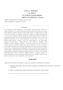 Prova funzionale 2° LIVELLO 2pd