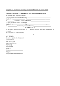 schema comunicazione per abbattimento alberi morti