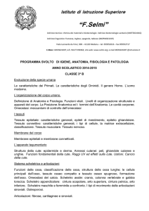 Igiene_anatomia_3B