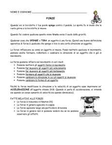 Somma vettoriale di forze
