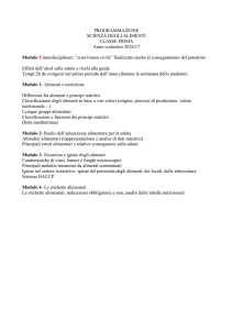 PROGRAMMAZIONE alimenti PRIMA