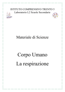 La respirazione - Istituto Trento 5