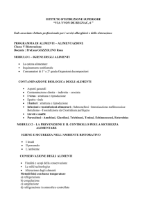 istituto d`istruzione superiore