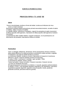 O - Carlo Anti