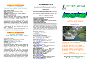 attività - Ente Fauna Siciliana