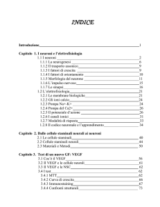 Indice