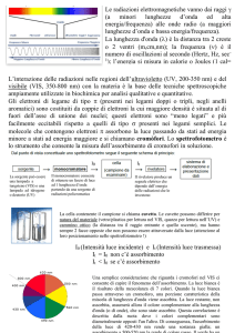 esercitazioni biochimica, 2013