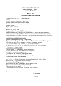 ANNO SCOLASTICO 2014-2015 Liceo Linguistico “F. Selmi