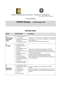 A - Cavour–Marconi–Pascal