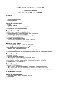 programma II C - Liceo Galileo Galilei