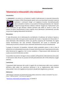 Michela Nardiello Telomerasi e mitocondri: che relazione