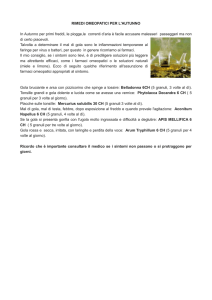 rimedi omeopatici per l`autunno.