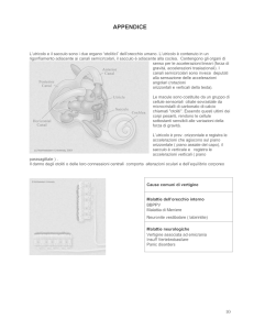 BPPV seconda parte