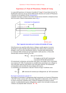 esp 5